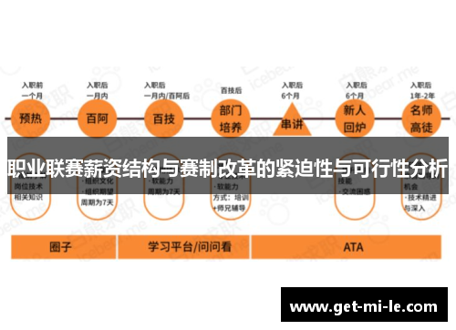 职业联赛薪资结构与赛制改革的紧迫性与可行性分析