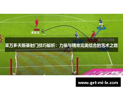 莱万多夫斯基射门技巧解析：力量与精准完美结合的艺术之路