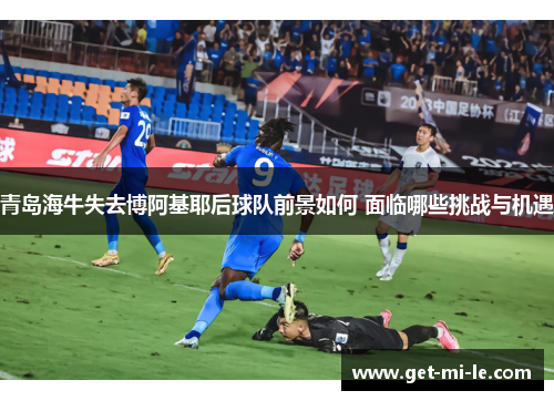 青岛海牛失去博阿基耶后球队前景如何 面临哪些挑战与机遇 青岛海牛失去博阿基耶后球队前景如何 面临哪些挑战与机遇