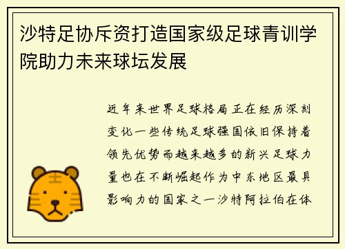 沙特足协斥资打造国家级足球青训学院助力未来球坛发展 沙特足协斥资打造国家级足球青训学院助力未来球坛发展
